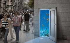 Eixample Blau | Cliente: iGriega